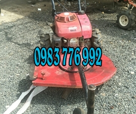 PHÁT CỎ 3 BÁNH BÃI NHẬT